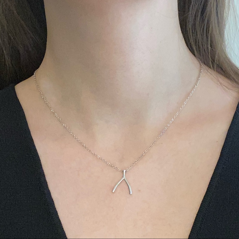 Sterling Forever Wishbone Necklace